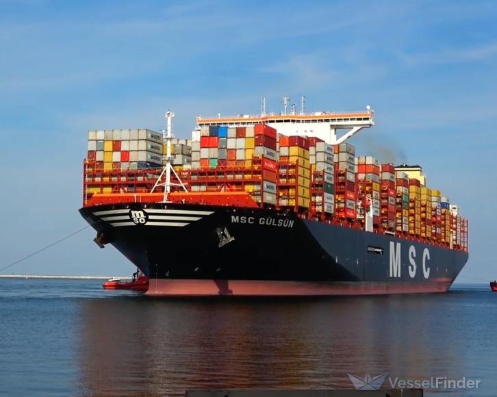 MSC Ship
